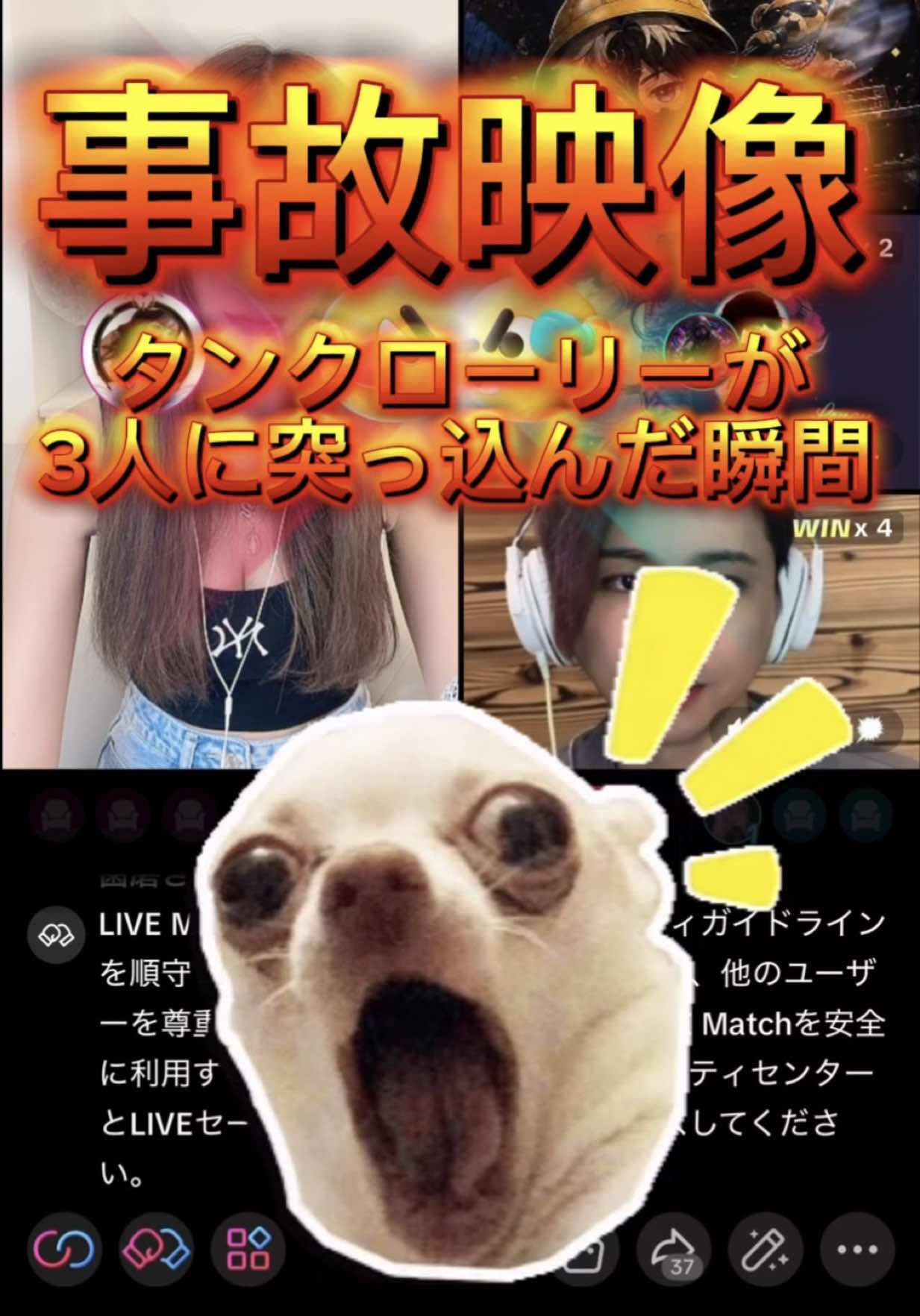 @ちゃんしー🤫🩶