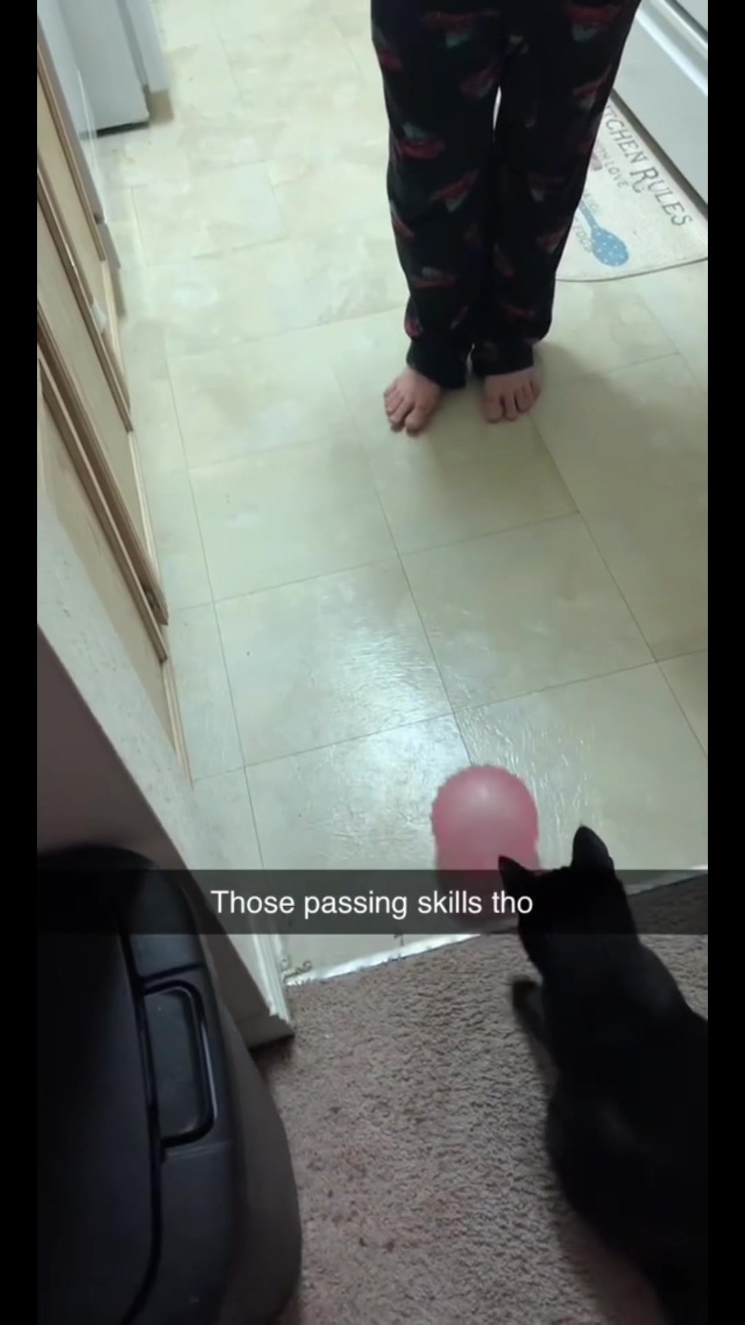 @patandkat