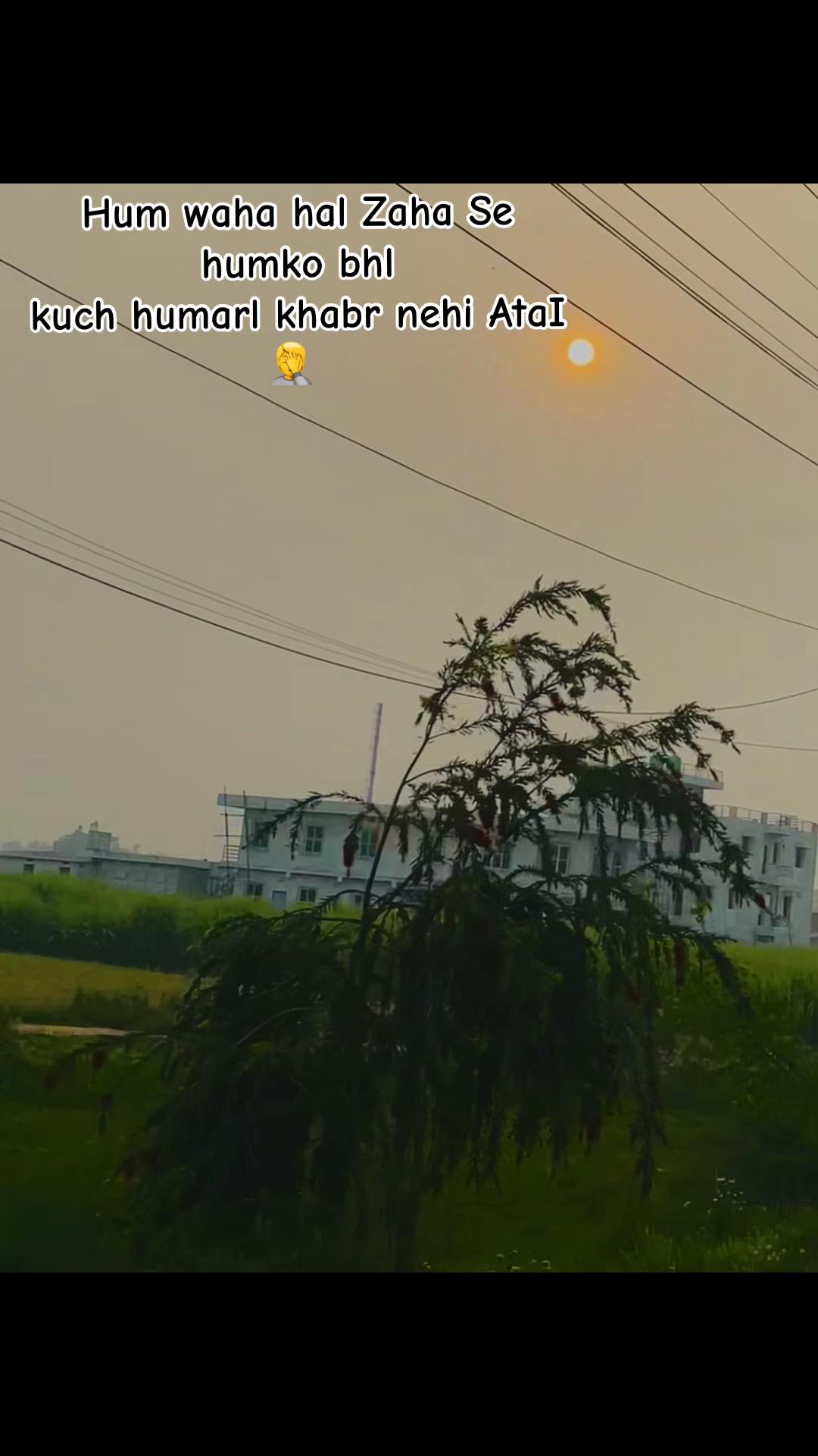@🌛