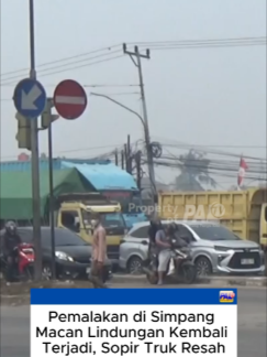 @Paltv-Memang Punyo Kito