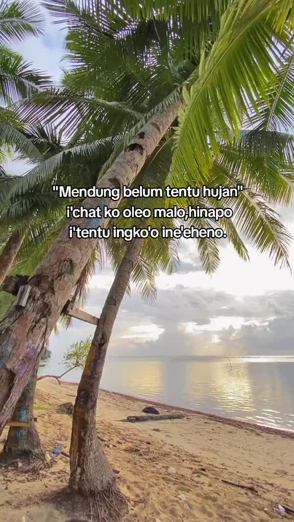 @M4d4n!!>022<