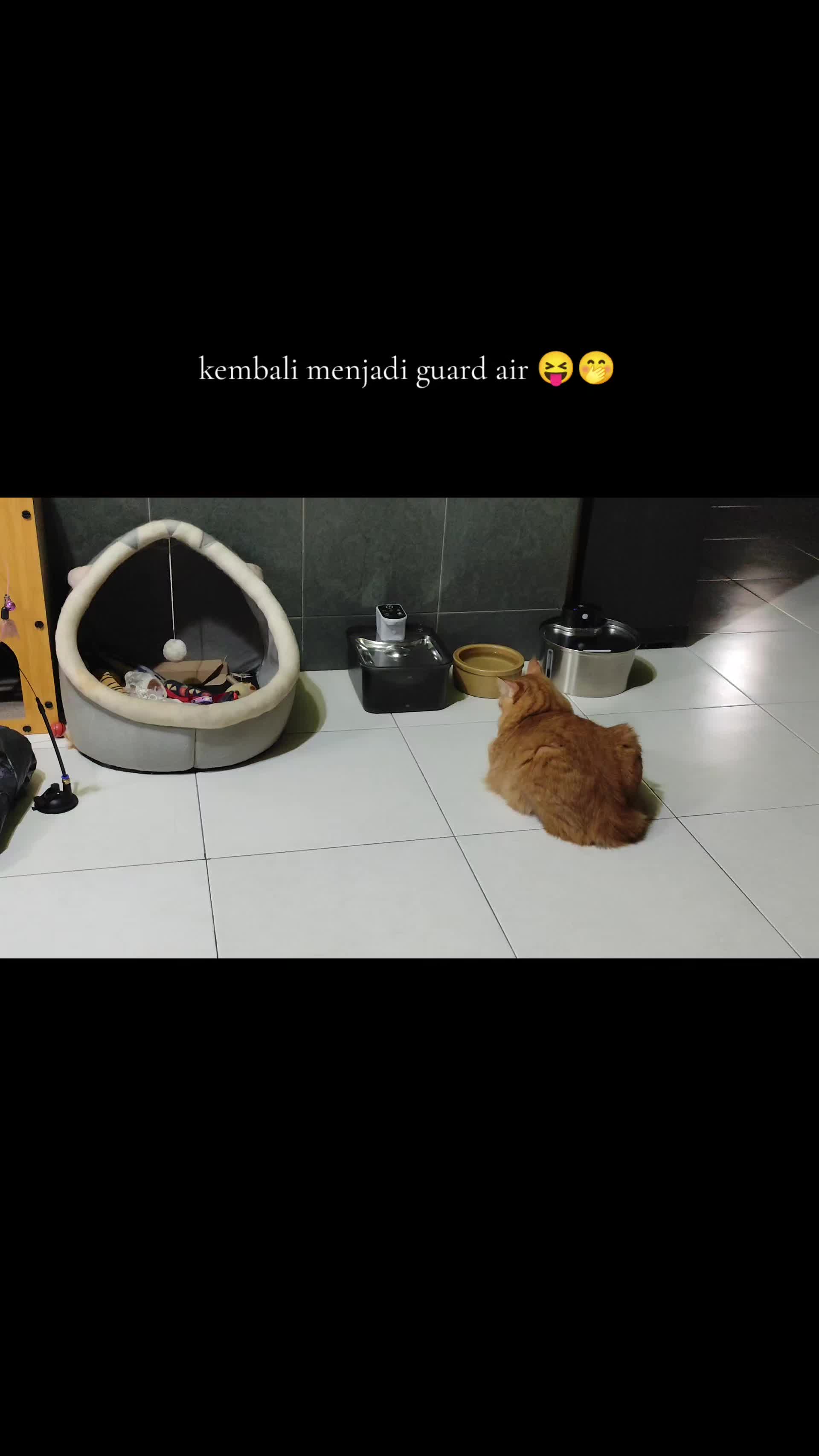 @Omma Kucing 🇲🇾🍉