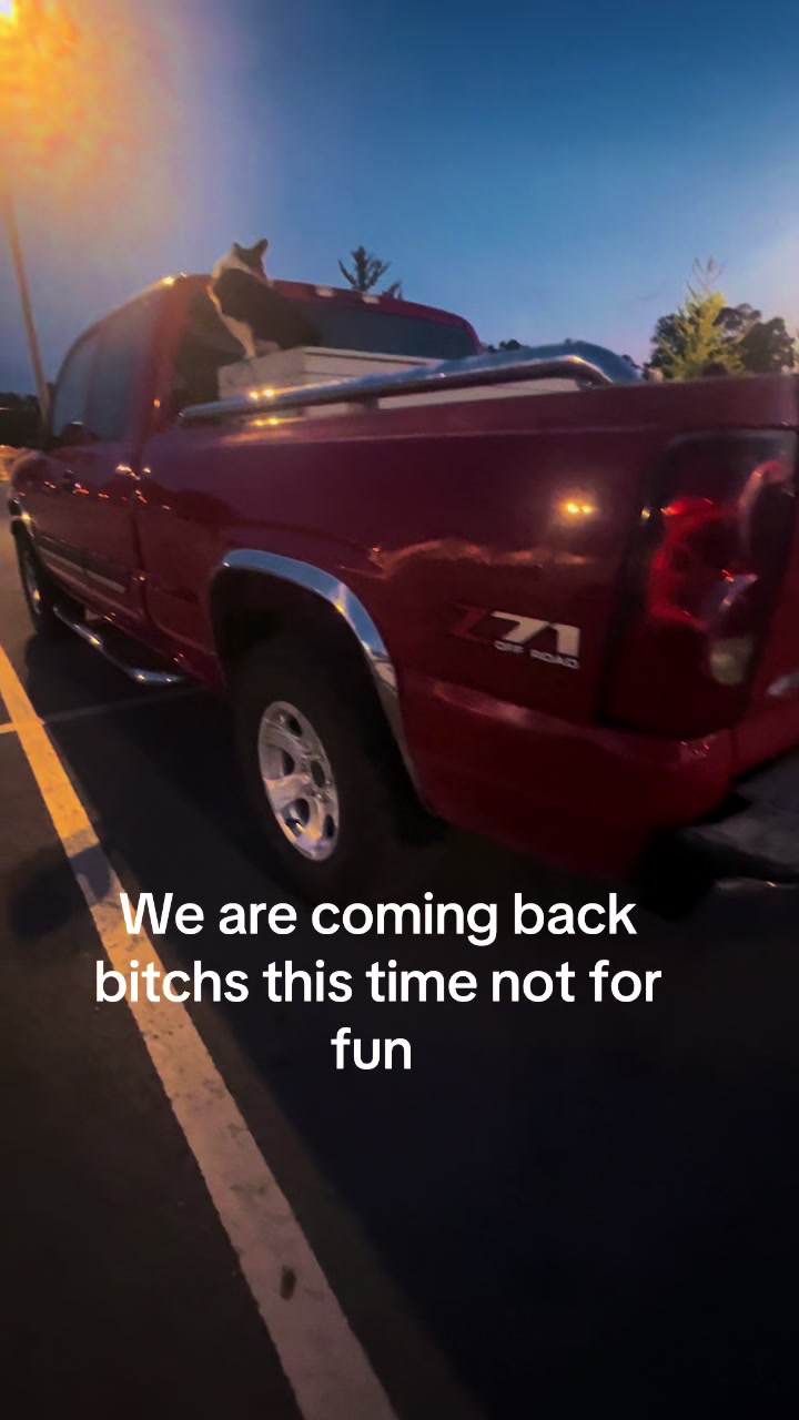 @Midnight_media5.3