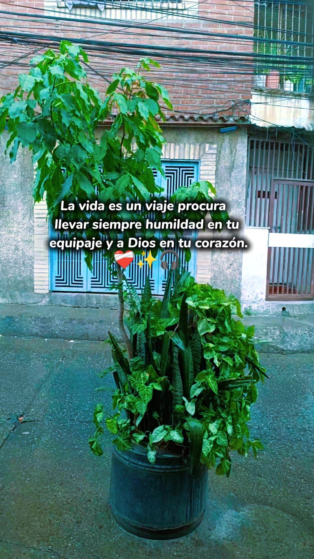 @Norelys