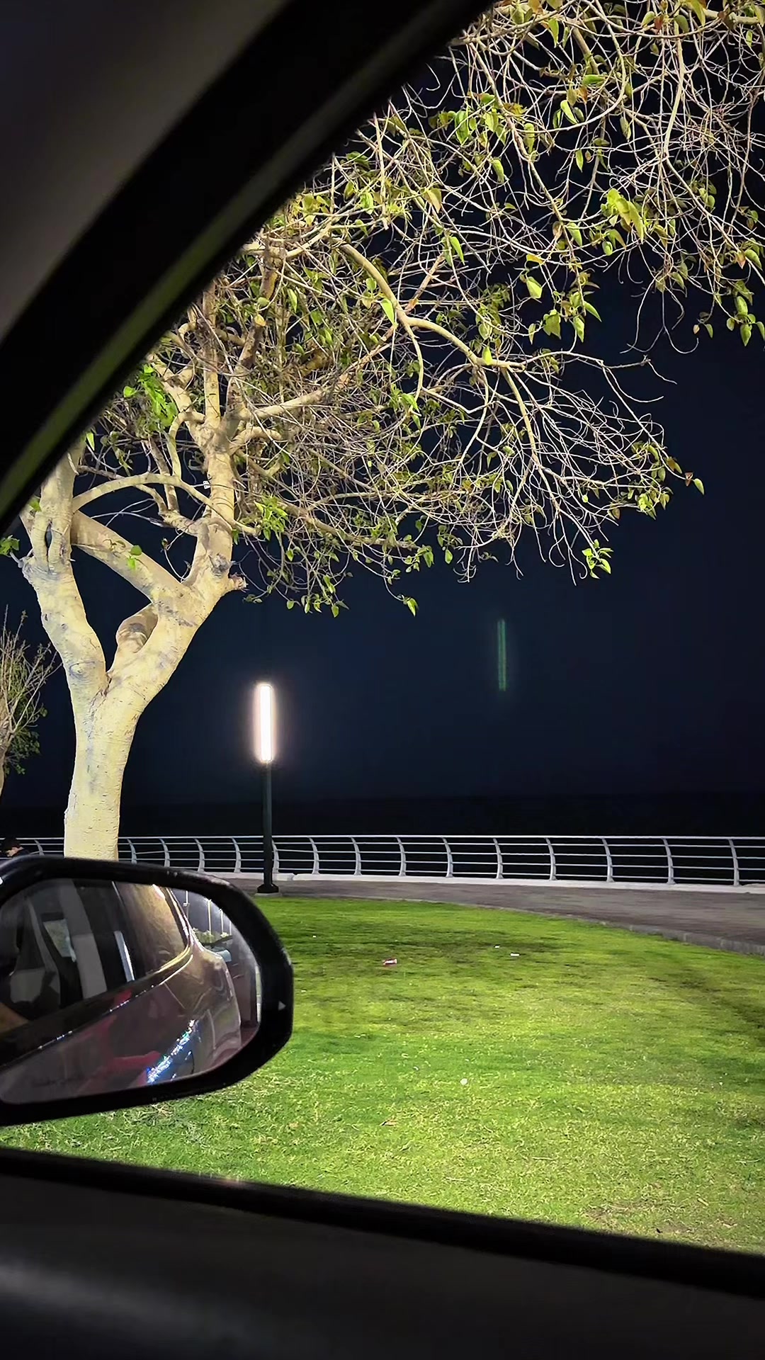 @Ismail Shafi🇸🇦