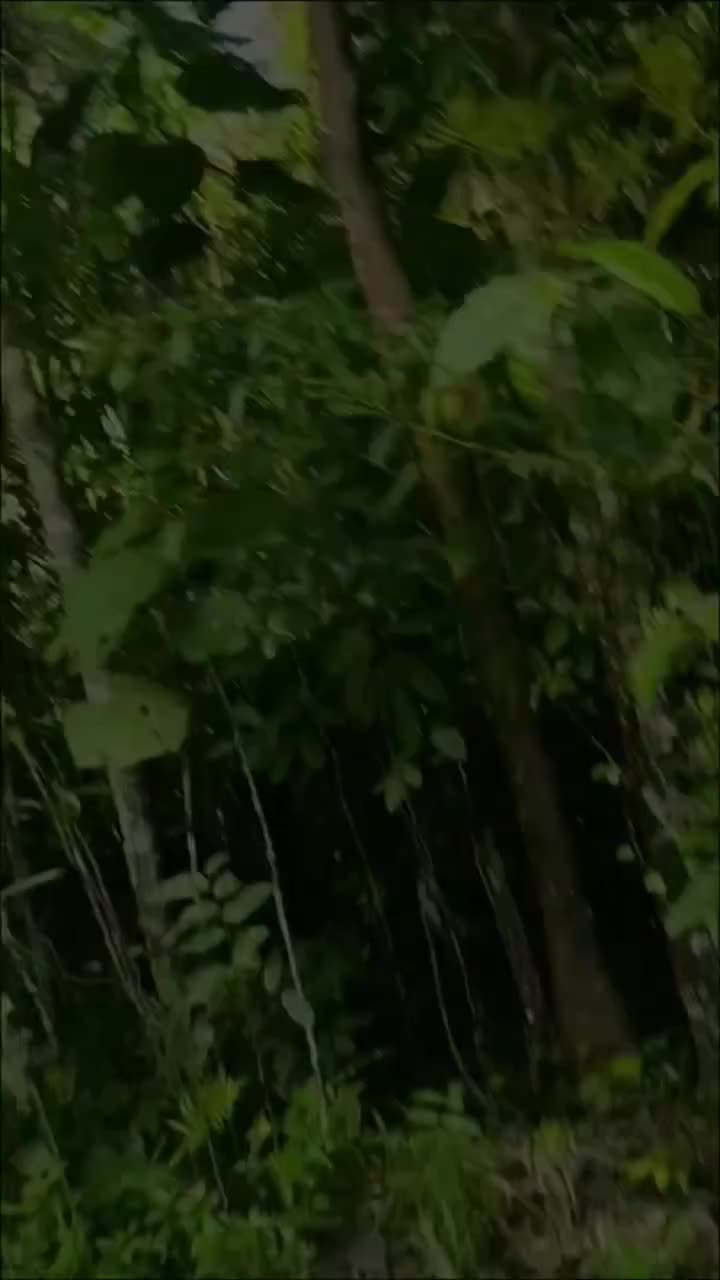 @VPTech