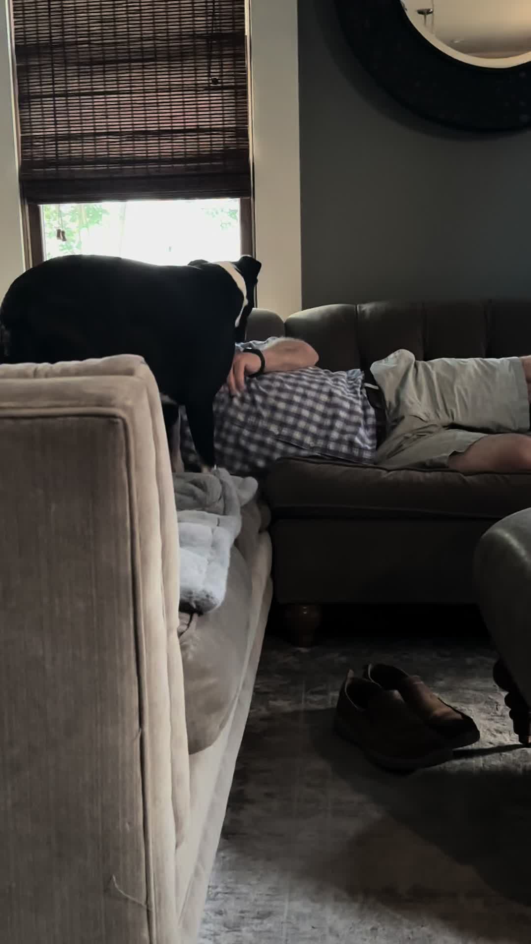 @LifeWithBoyd