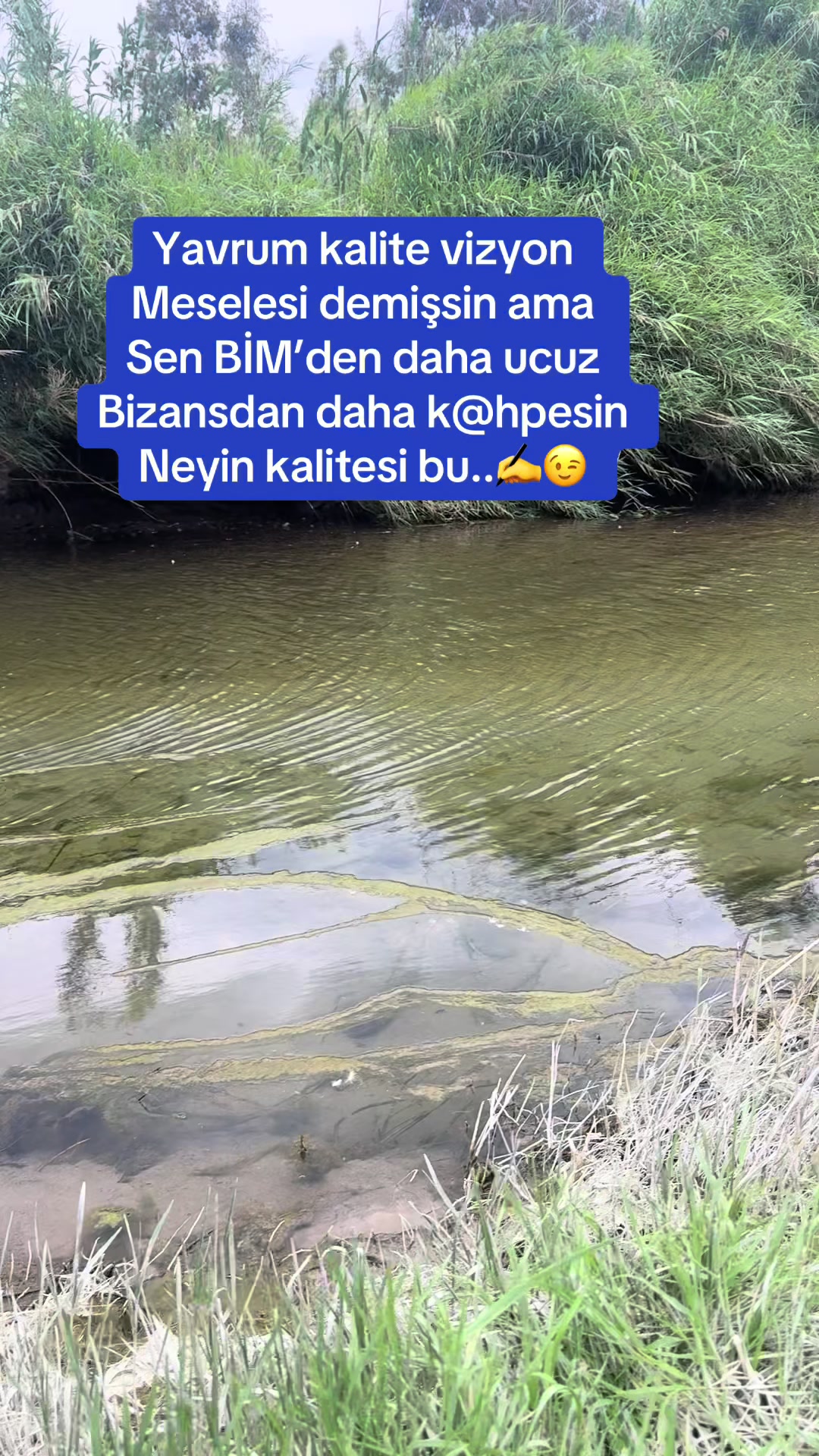 @Filiz Eymen
