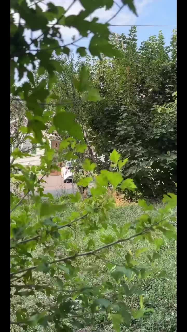 @Quantum.Alchemy