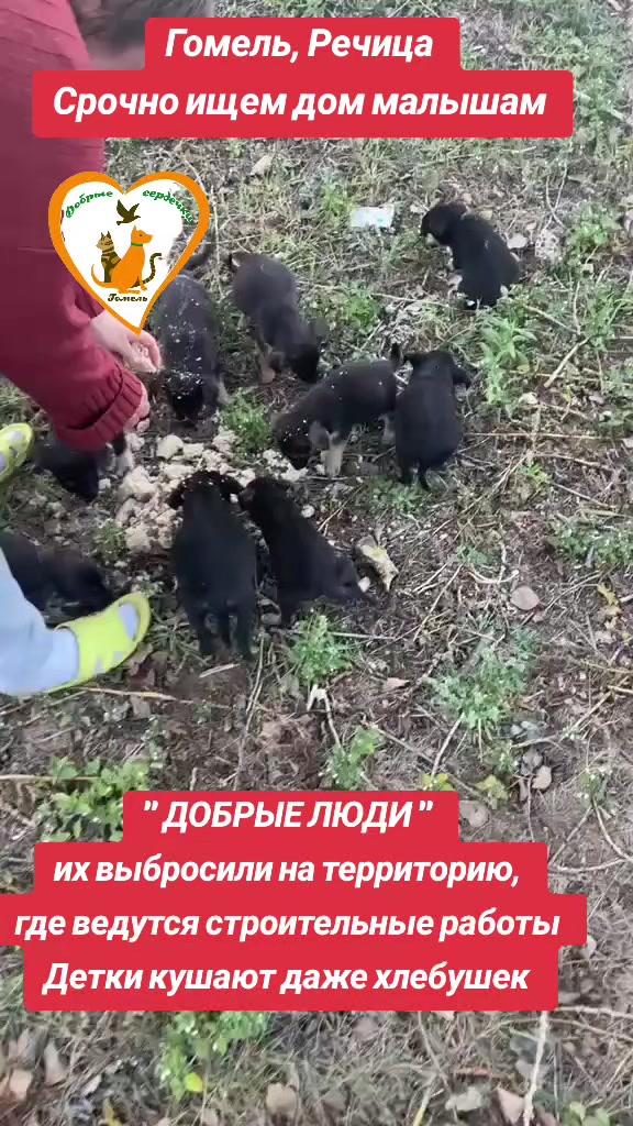 @Марина