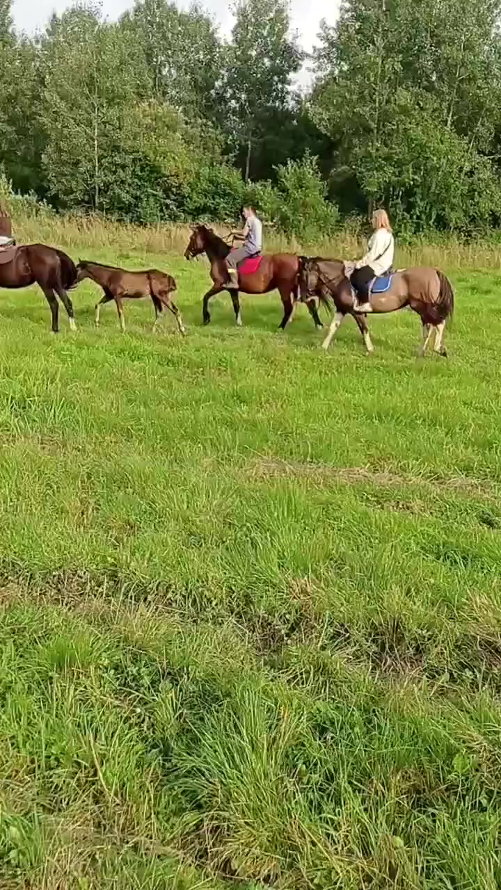 @Бурмакина Дарья