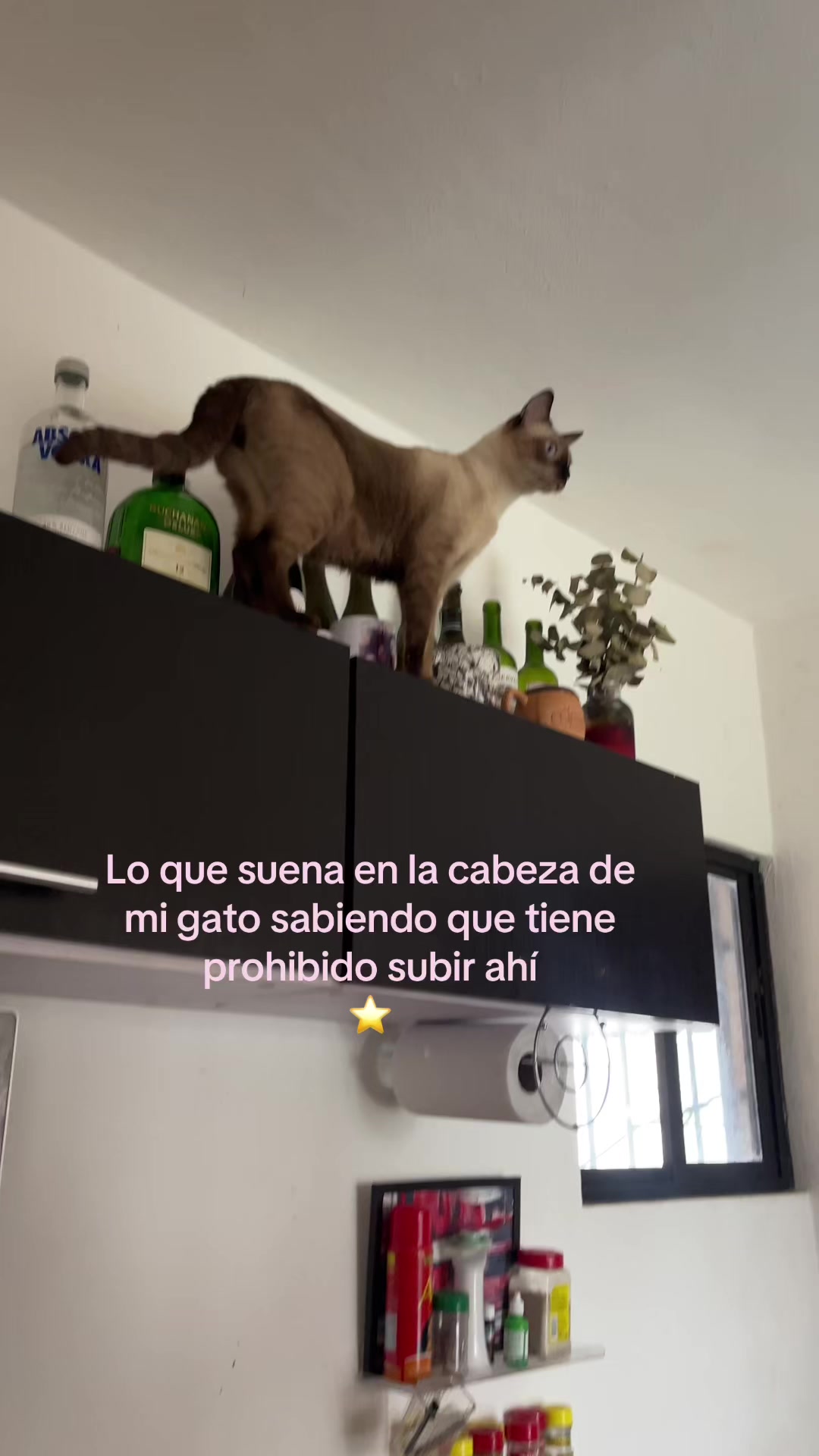 @Hermanitos siameses