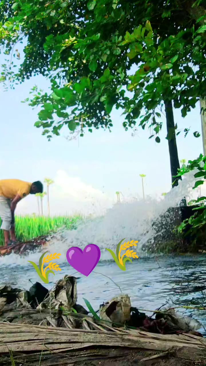 @rajupraju481