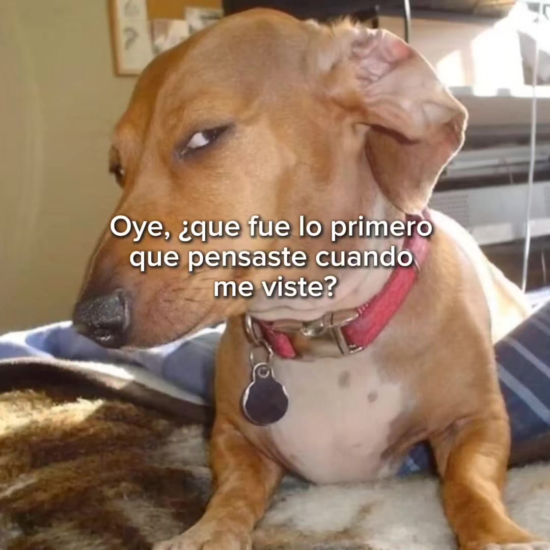 @goodvibessxd