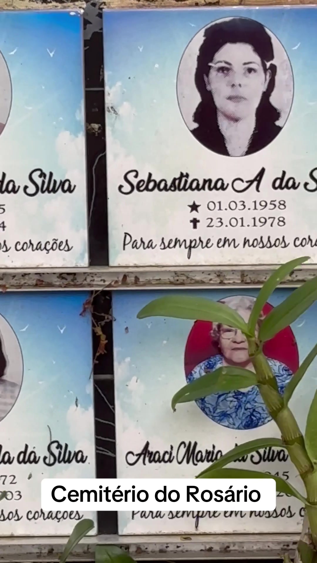 @aloiradocemiteriooficial