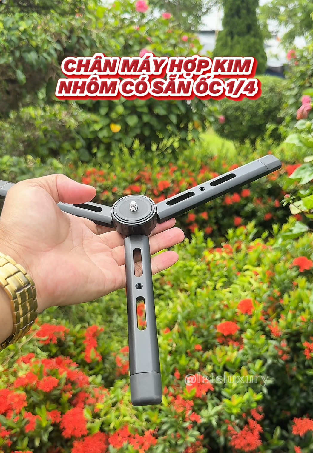 @𝕃𝔼𝕋’𝕊 𝕃𝕌𝕏𝕌ℝ𝕐