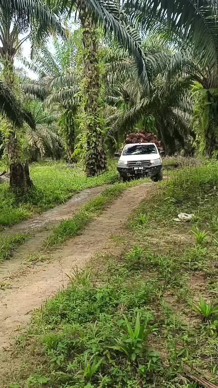 @RoHaIzAd_Rahim🇲🇾🇲🇾