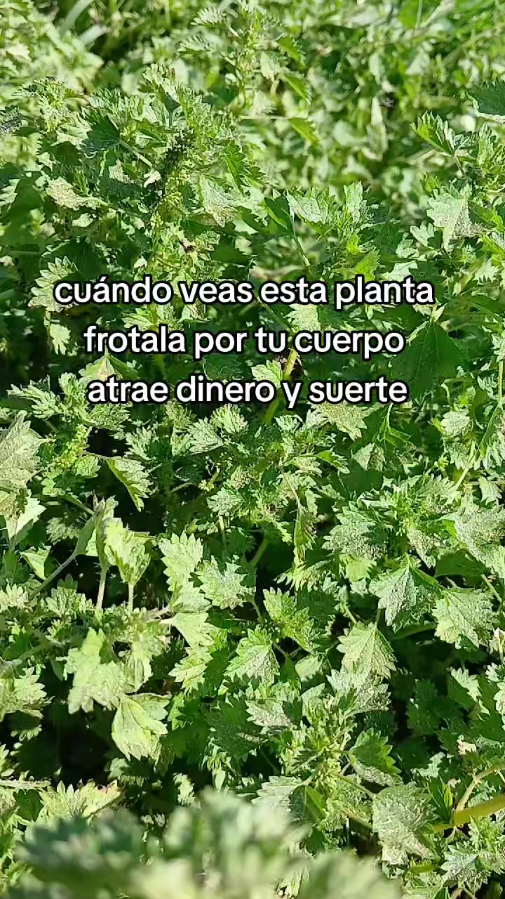 @Teteconpan🍼