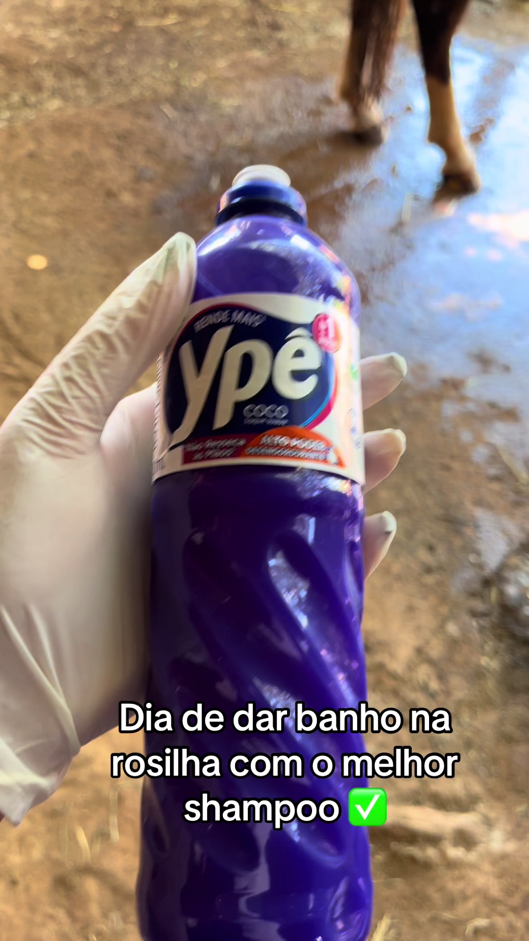 @Edina Lacerda