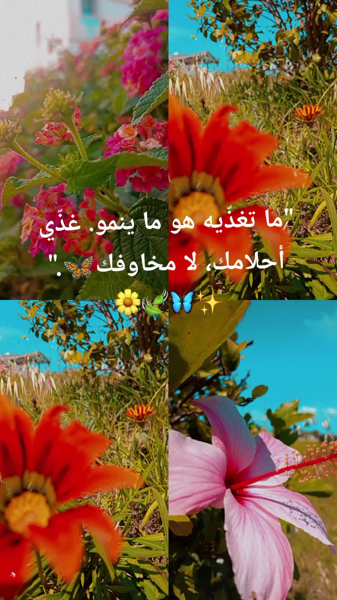 @Ryma~hel