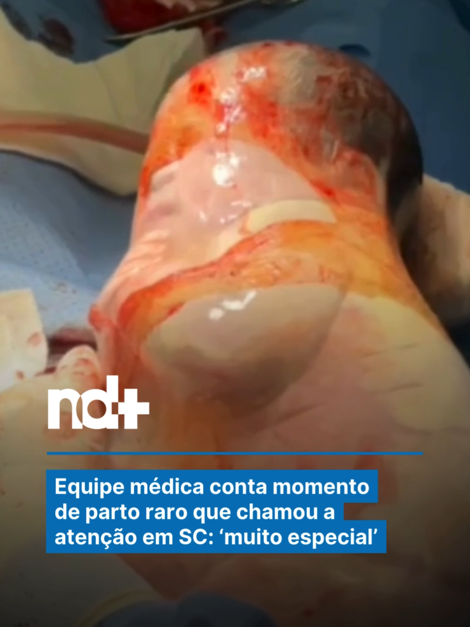 @portalndmais