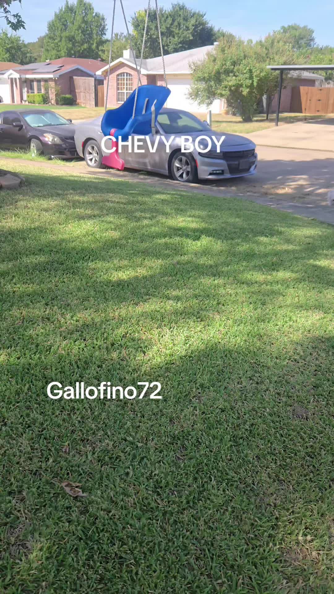 @ElGalloFino
