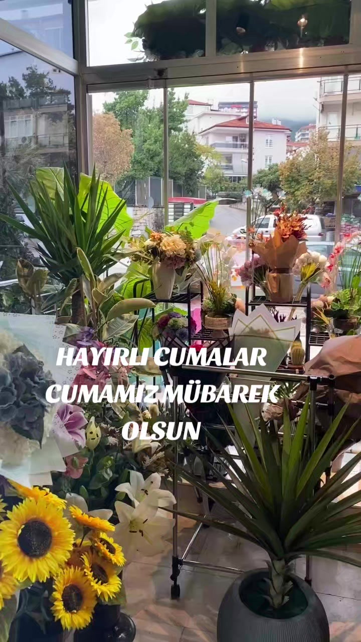 @Hasan Yılmaz