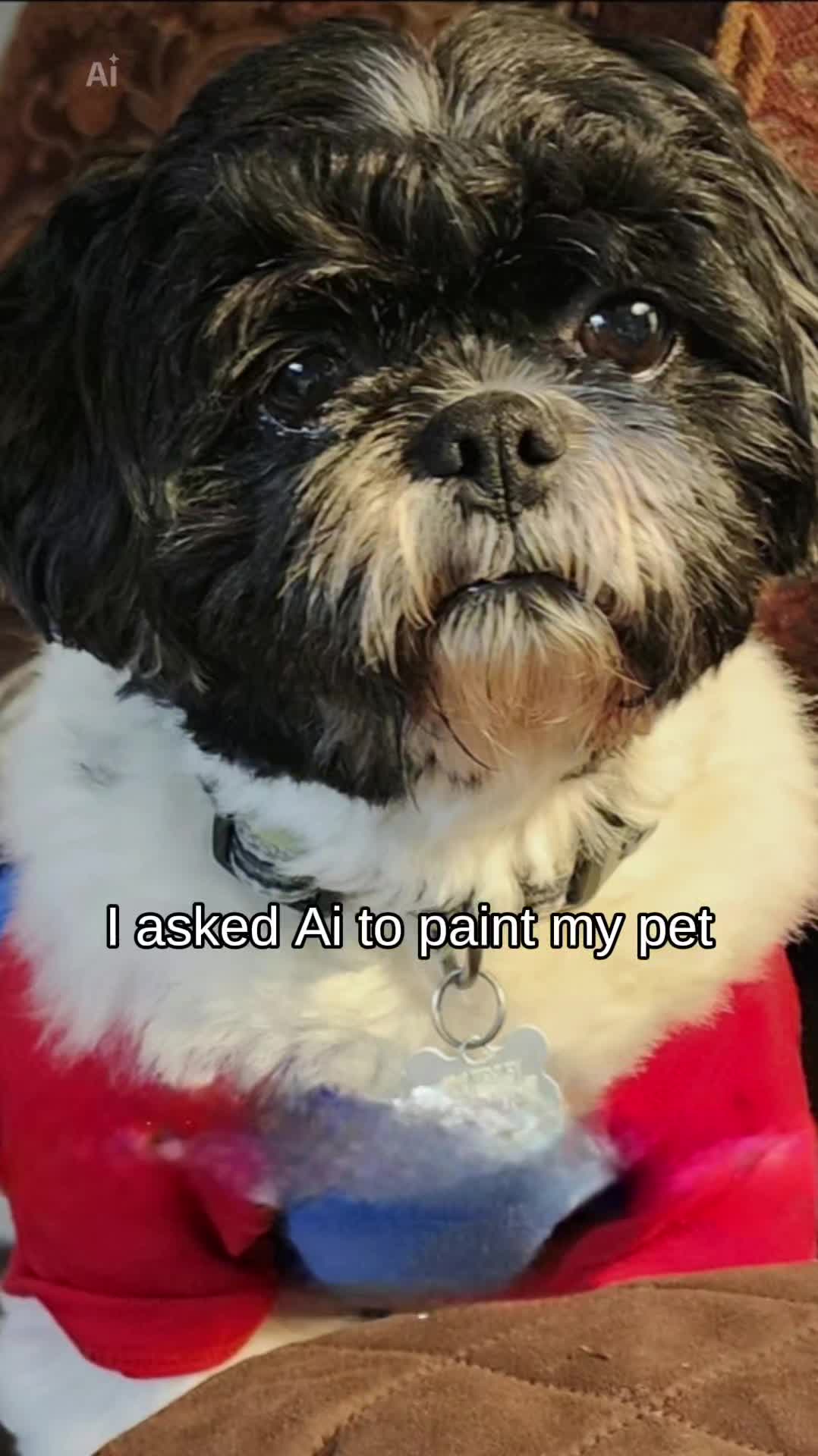 @Ai-Ai