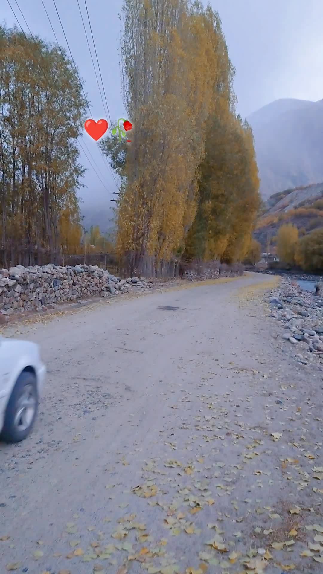 @aʟօռɛ🥺