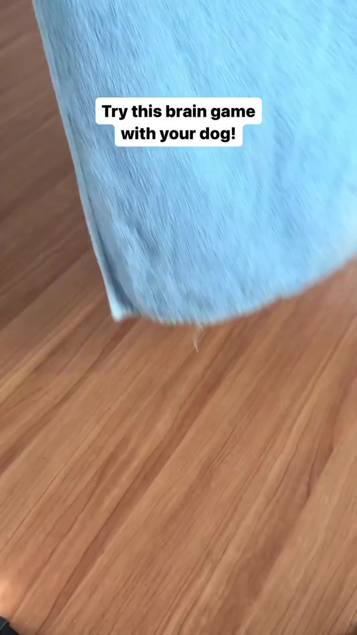 @PetFitness