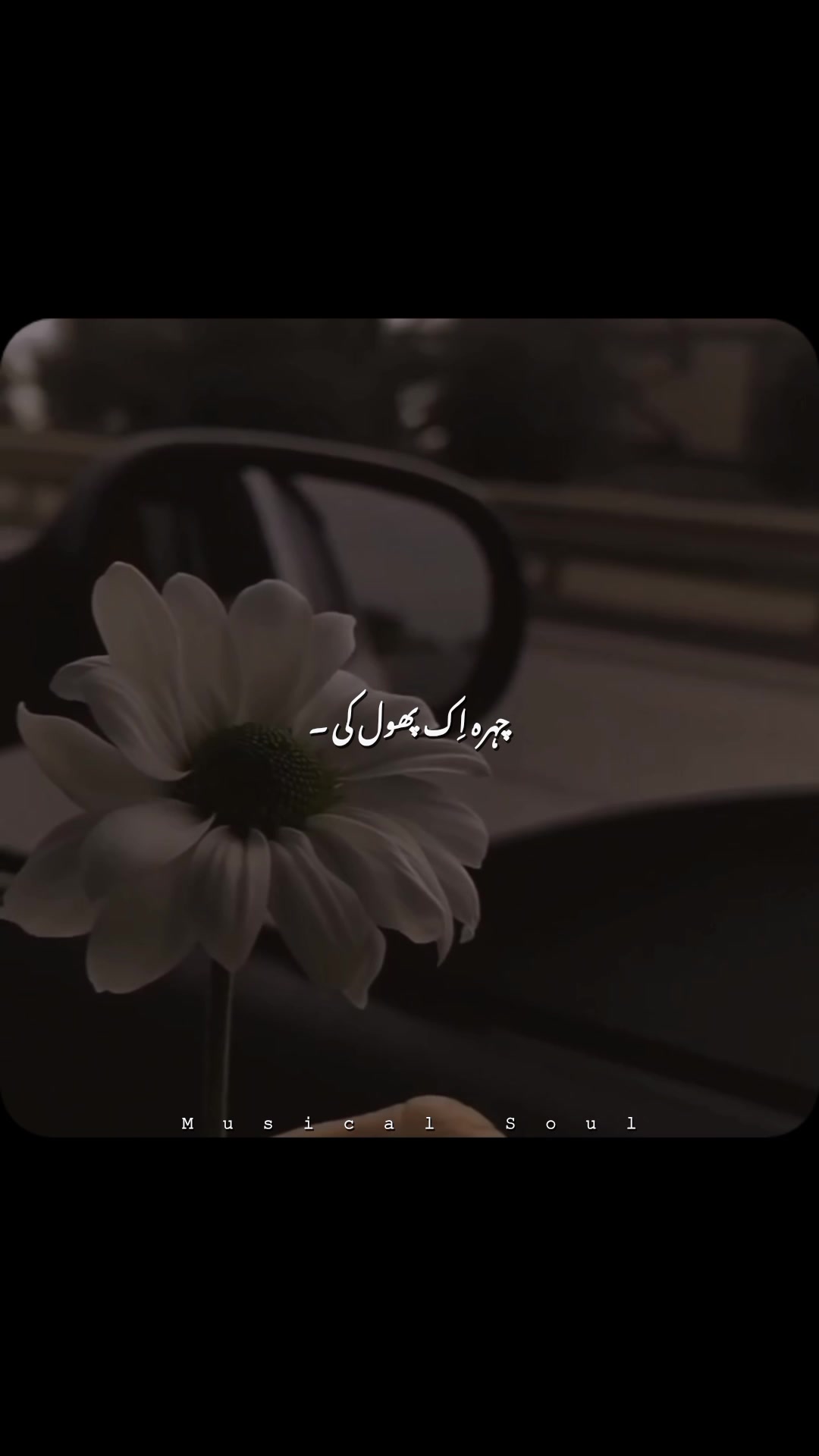 @𝑴𝑼𝑺𝑰𝑪𝑨𝑳 𝑺𝑶𝑼𝑳🎧