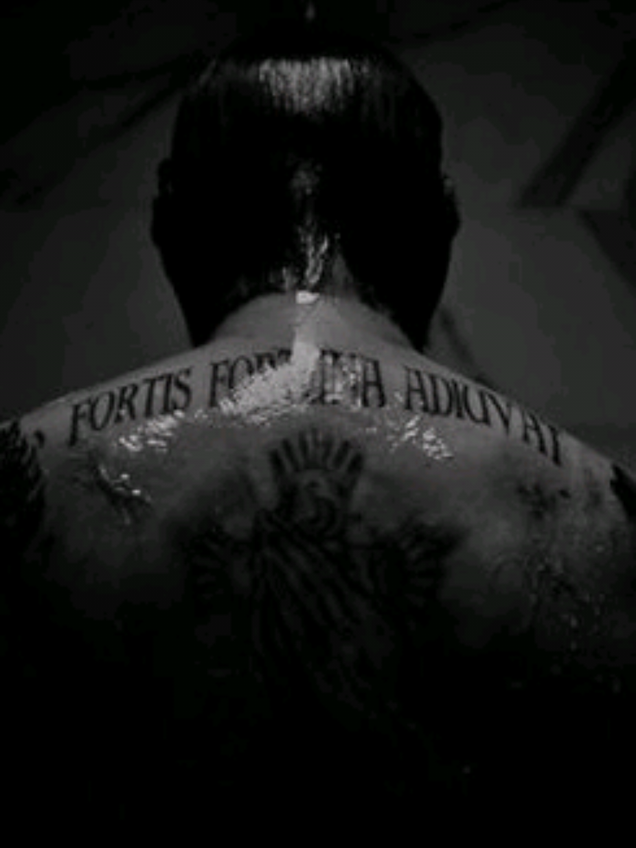 @✦ F r X B r ✦