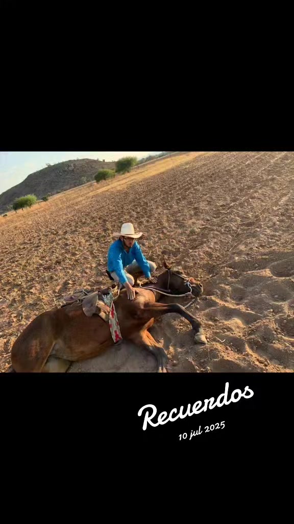 @Viejito Cordova✝️🍀❤️🐎🦅