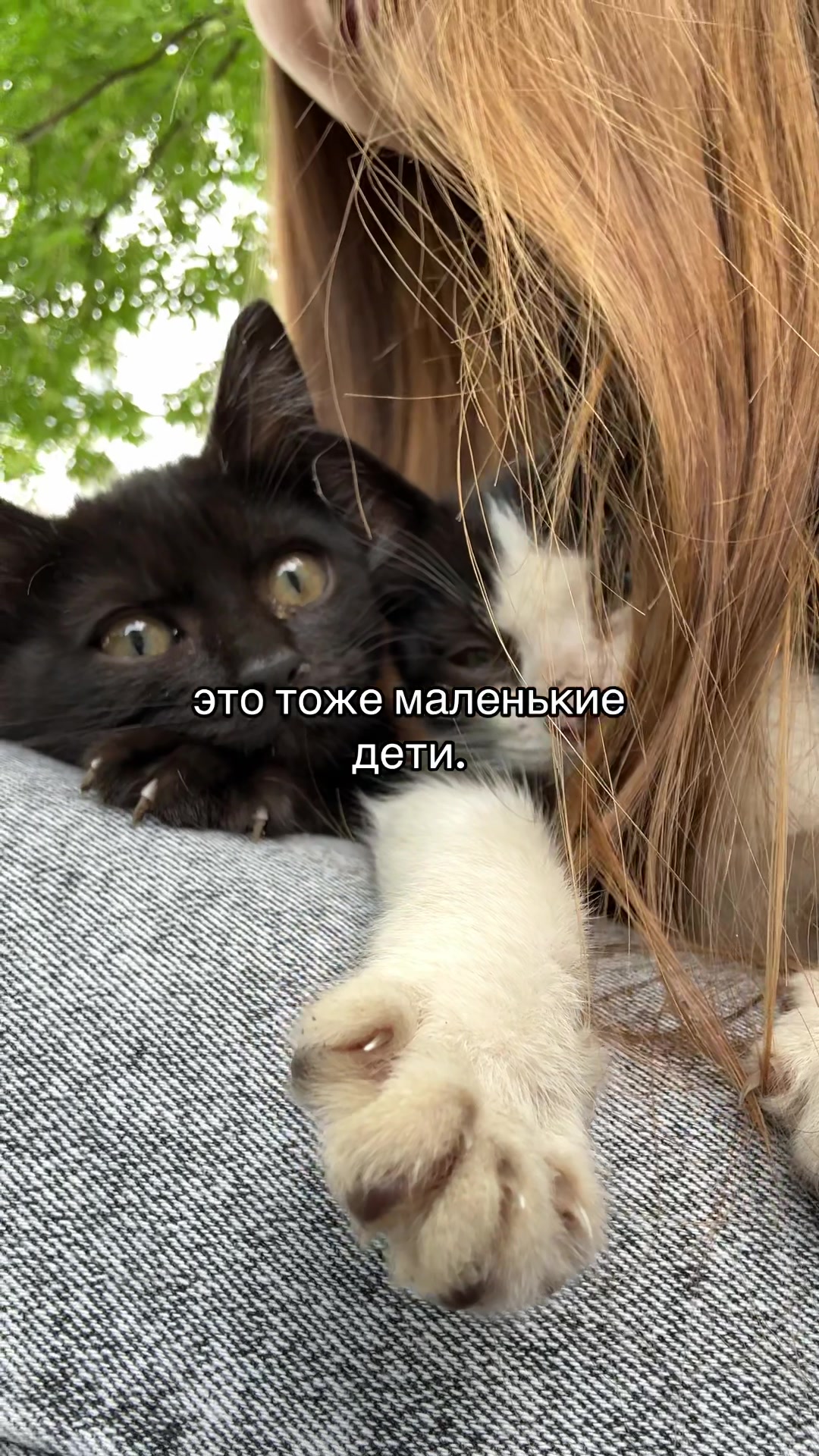 @Настя Техник