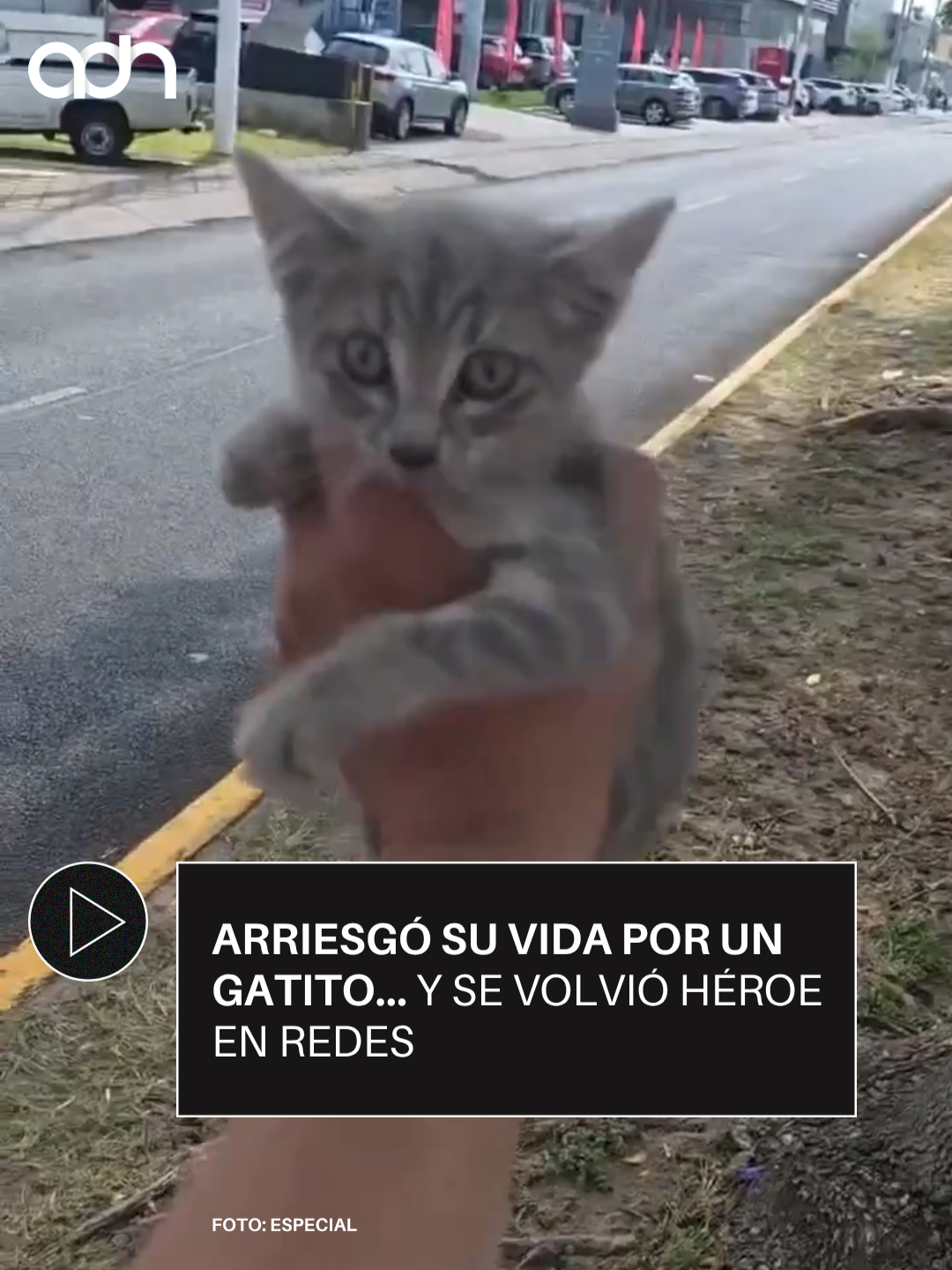 @adn Noticias