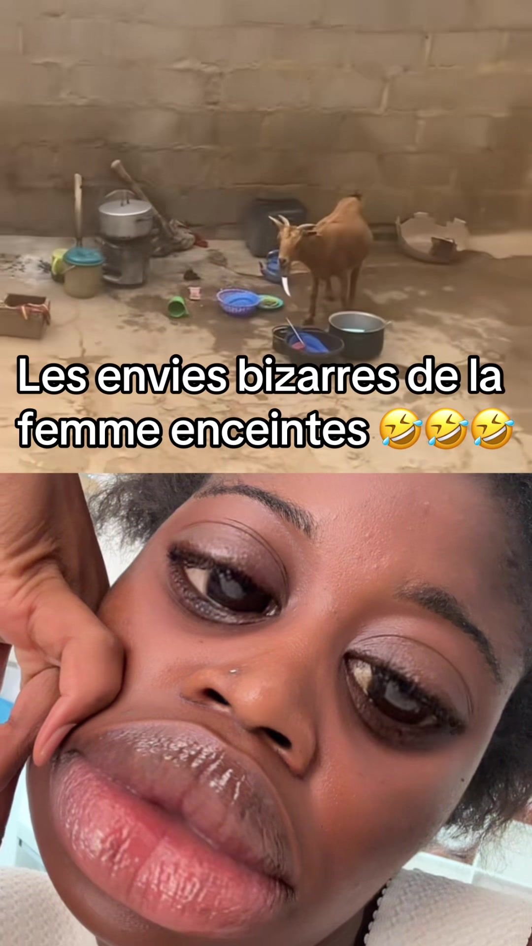 @karelle chou chou