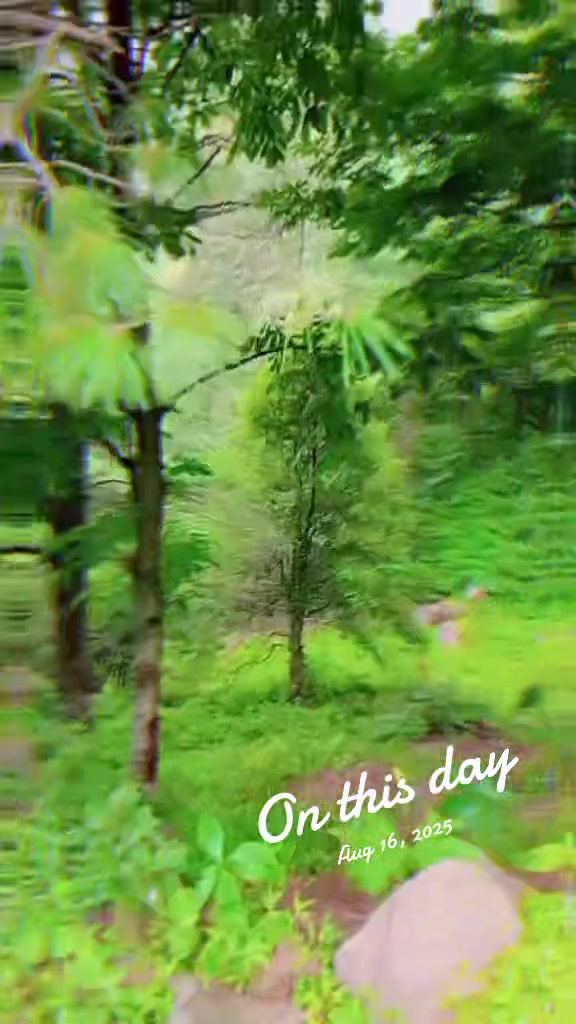 @@꧁༒☬M S. LOVE GURU☬༒꧂: