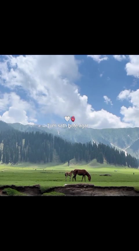 @simply_zaini