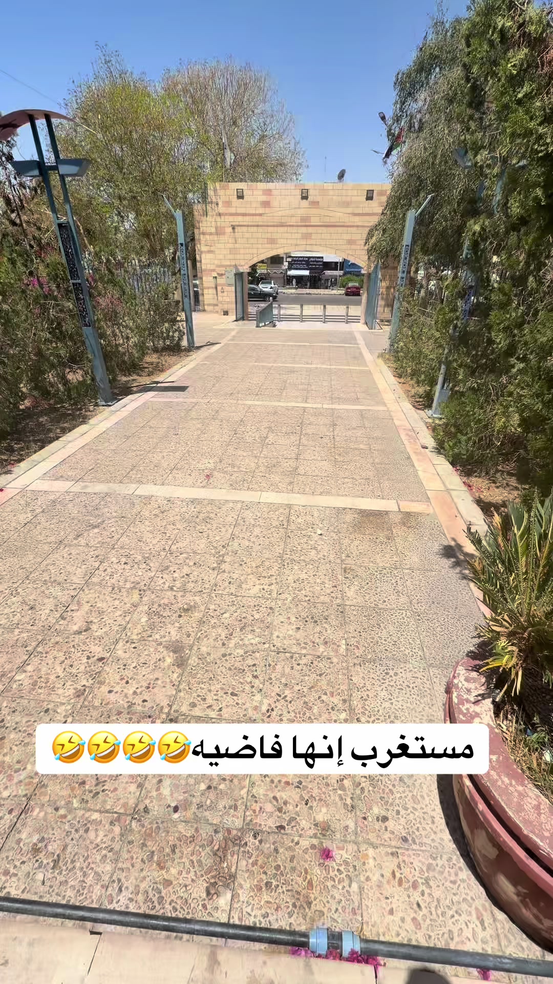 @﮼يزيد ﮼السعيديين