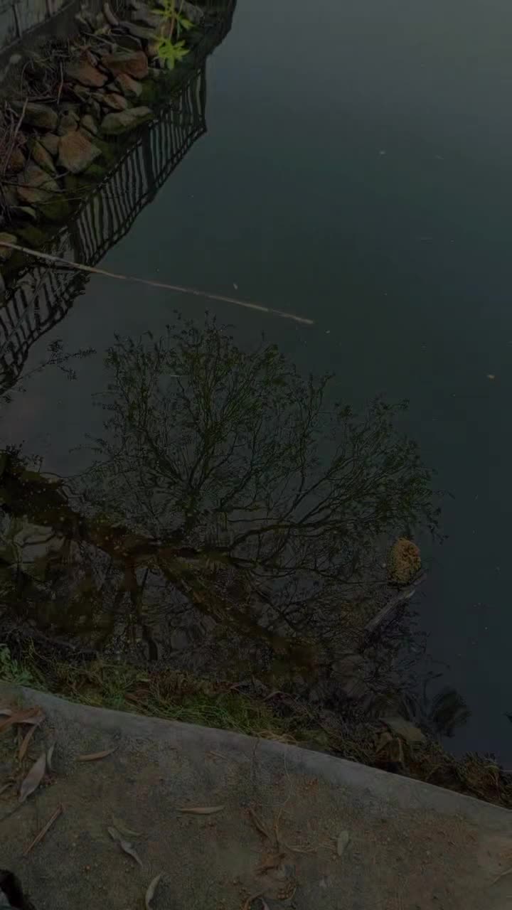 @Mehwish ali
