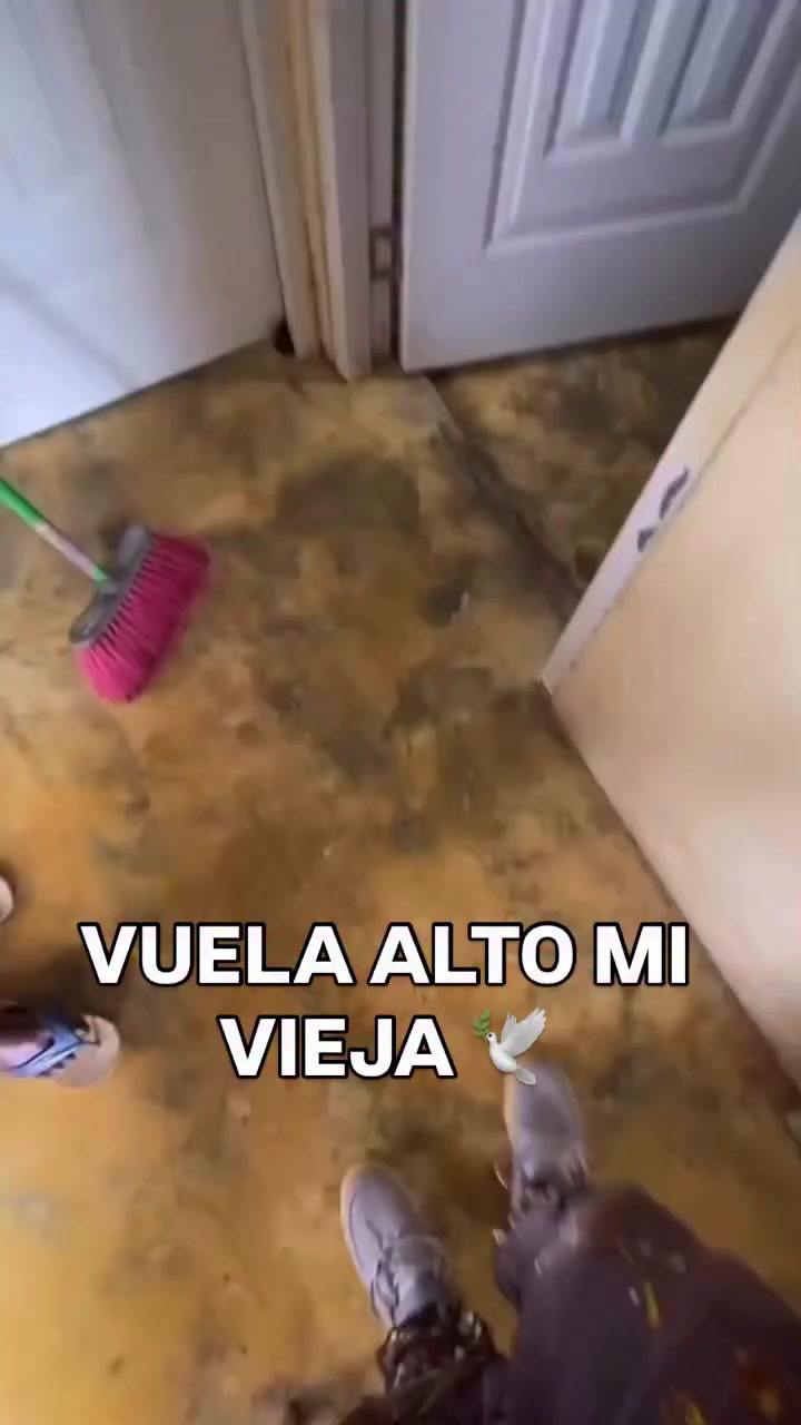 @🇩🇴 jimenez 🇩🇴