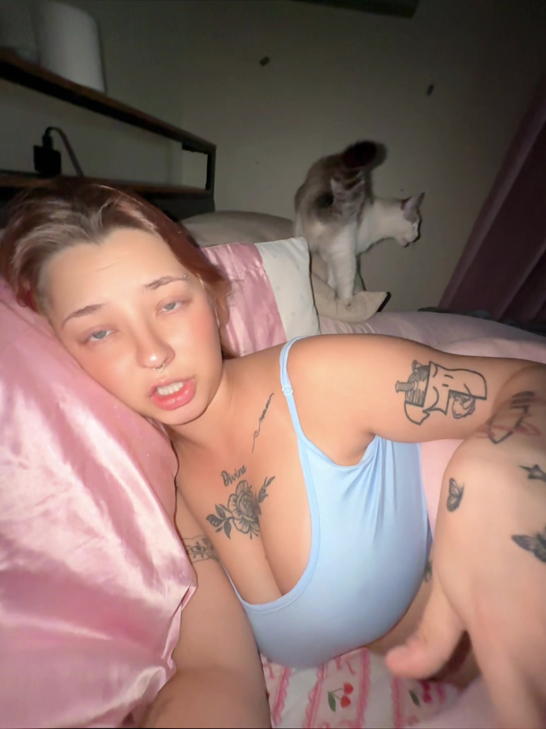 @meow