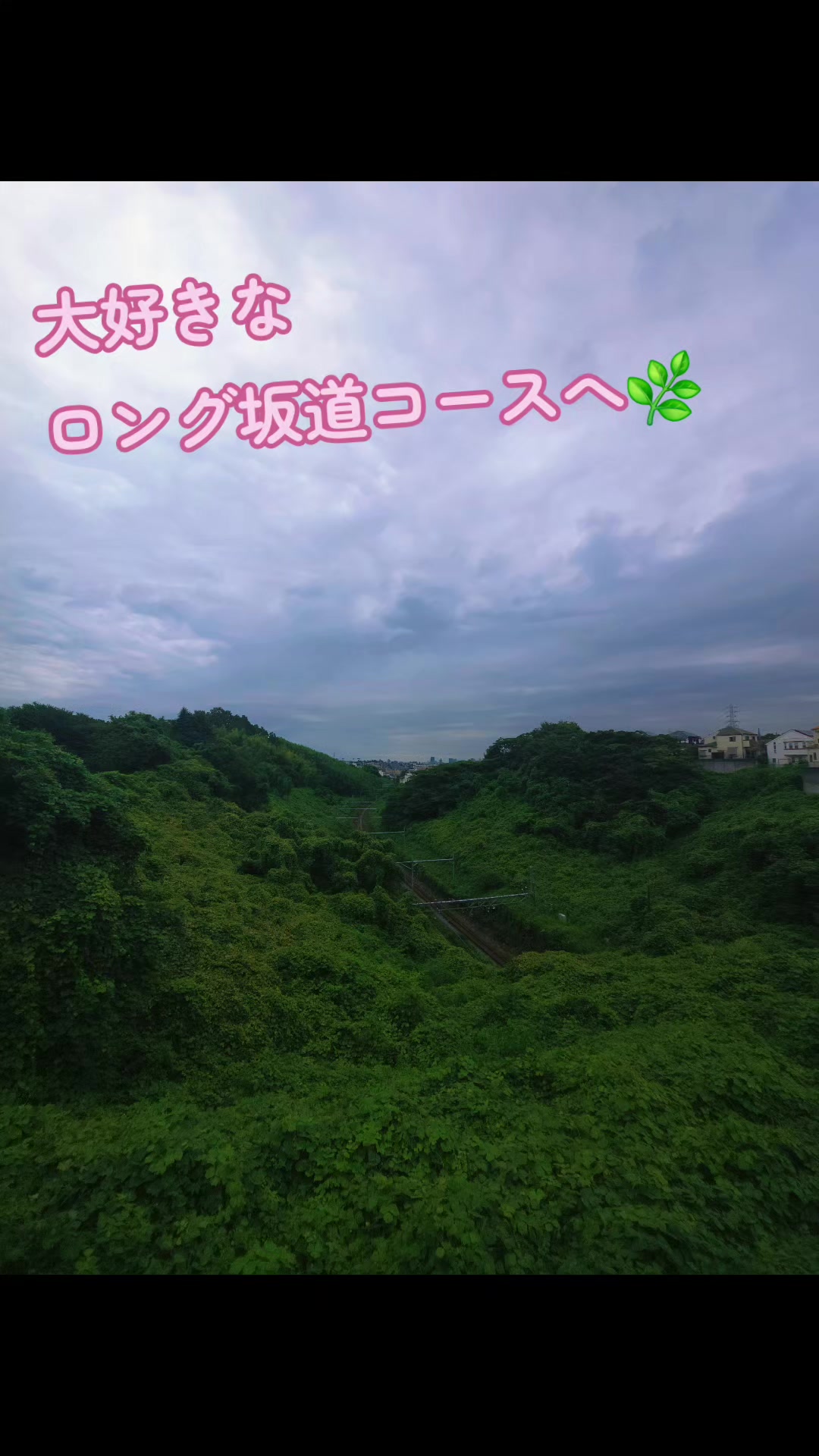 @マロン