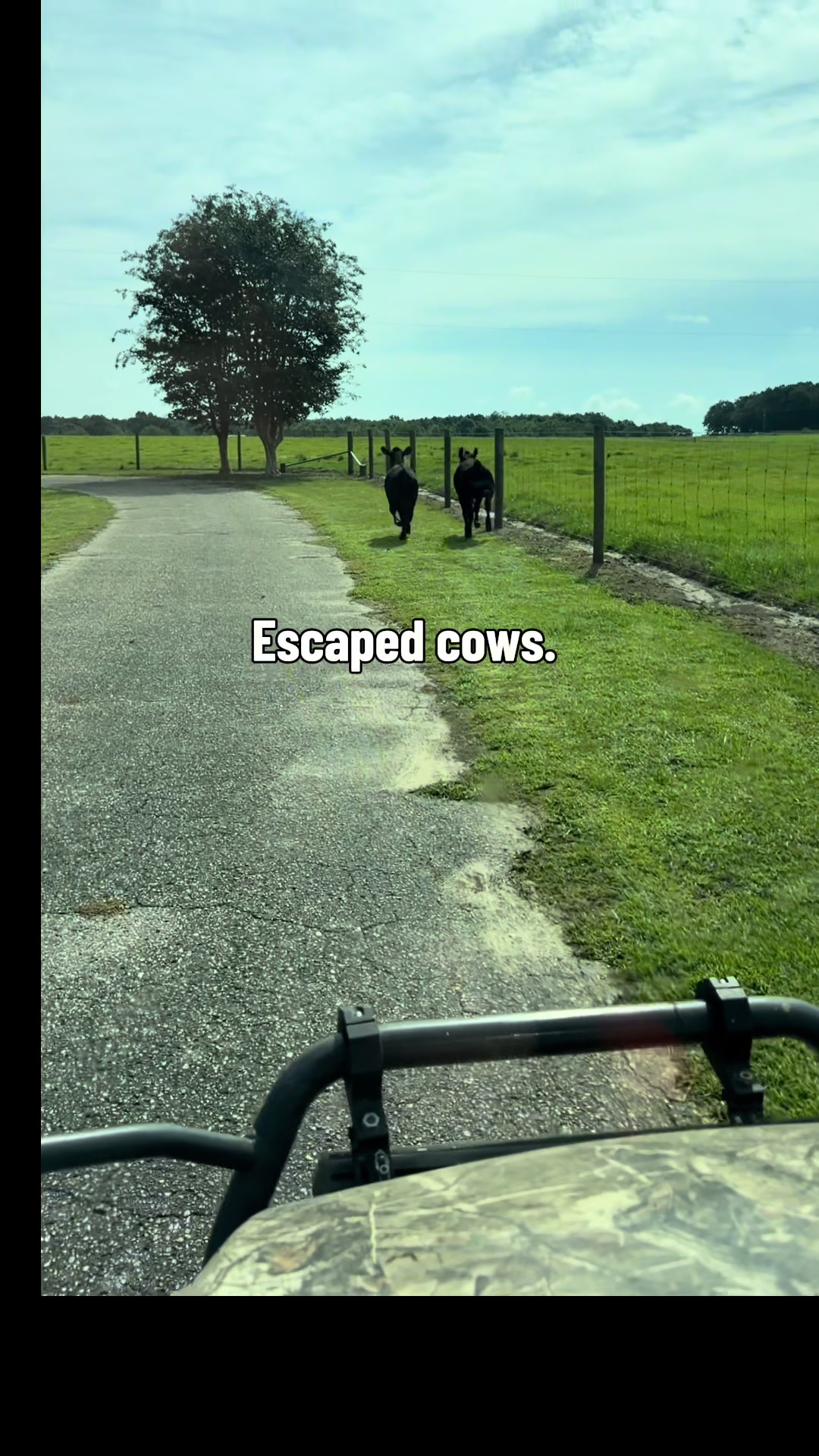 @Mason Hills Farm