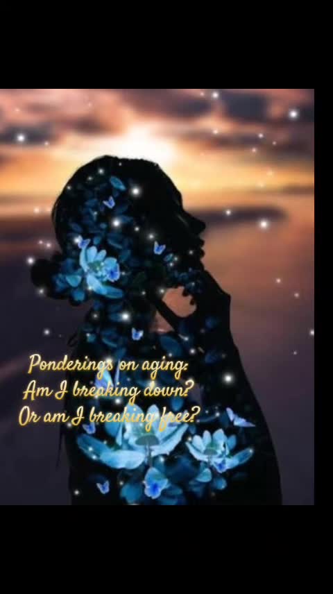 @T Rose 🌹 Ֆքǟʀӄ օʄ Ֆօքɦɨǟ