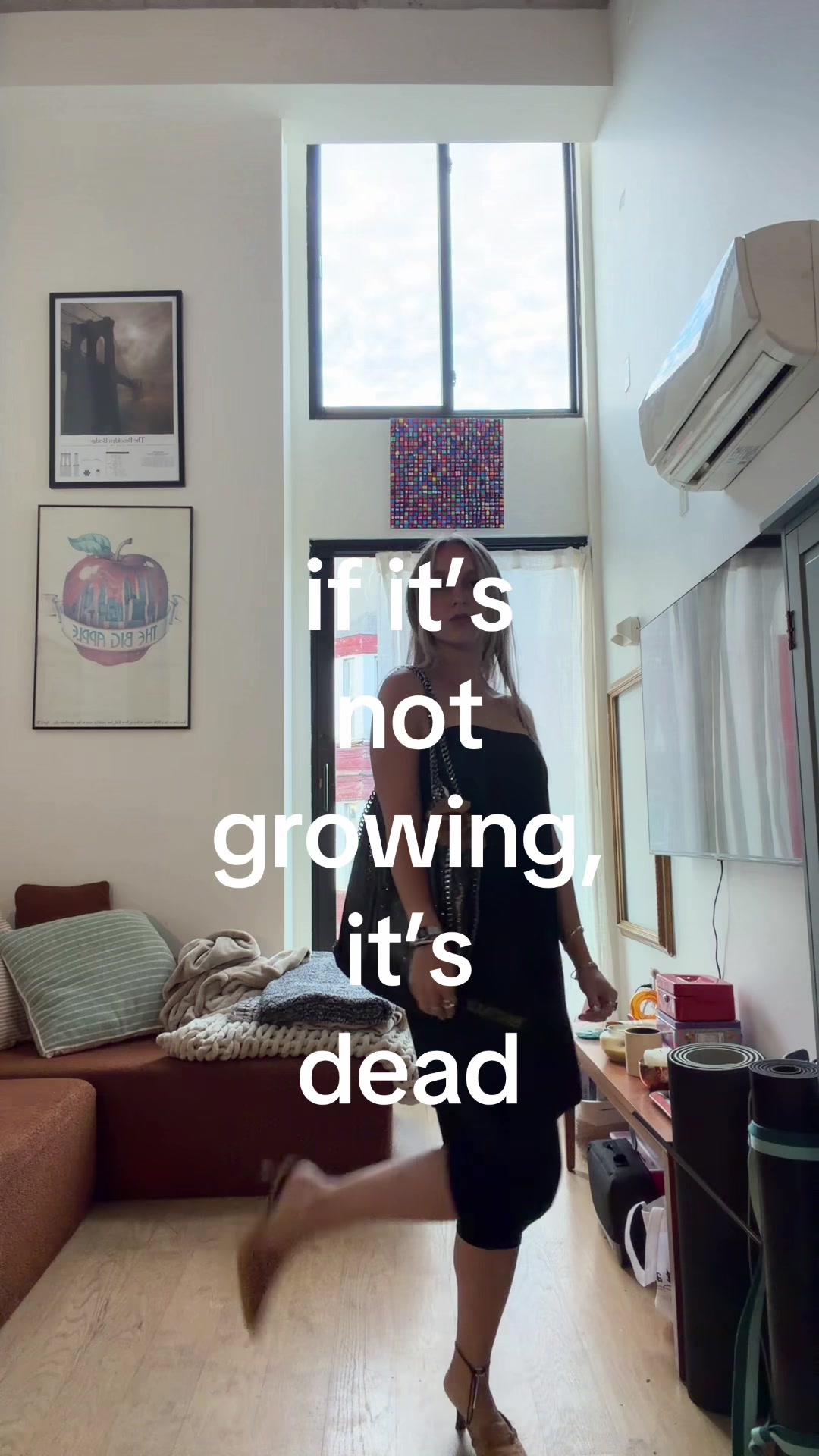 @Baby Skunk