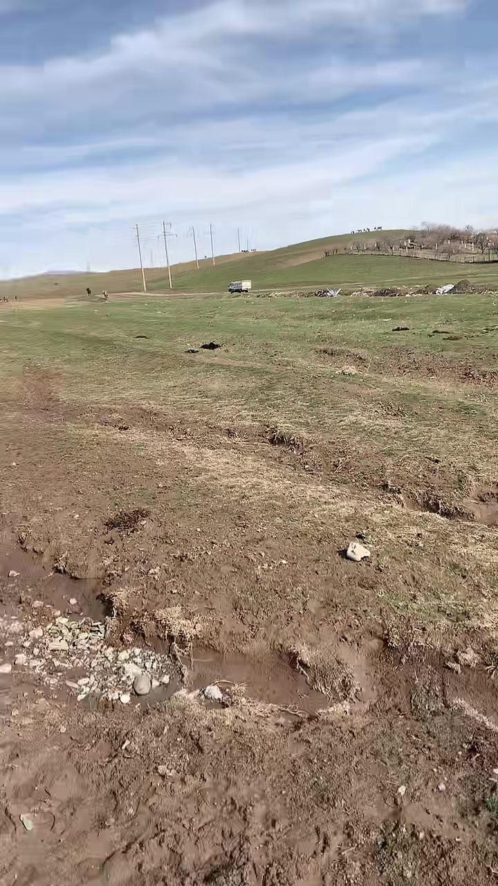 @Allenow77