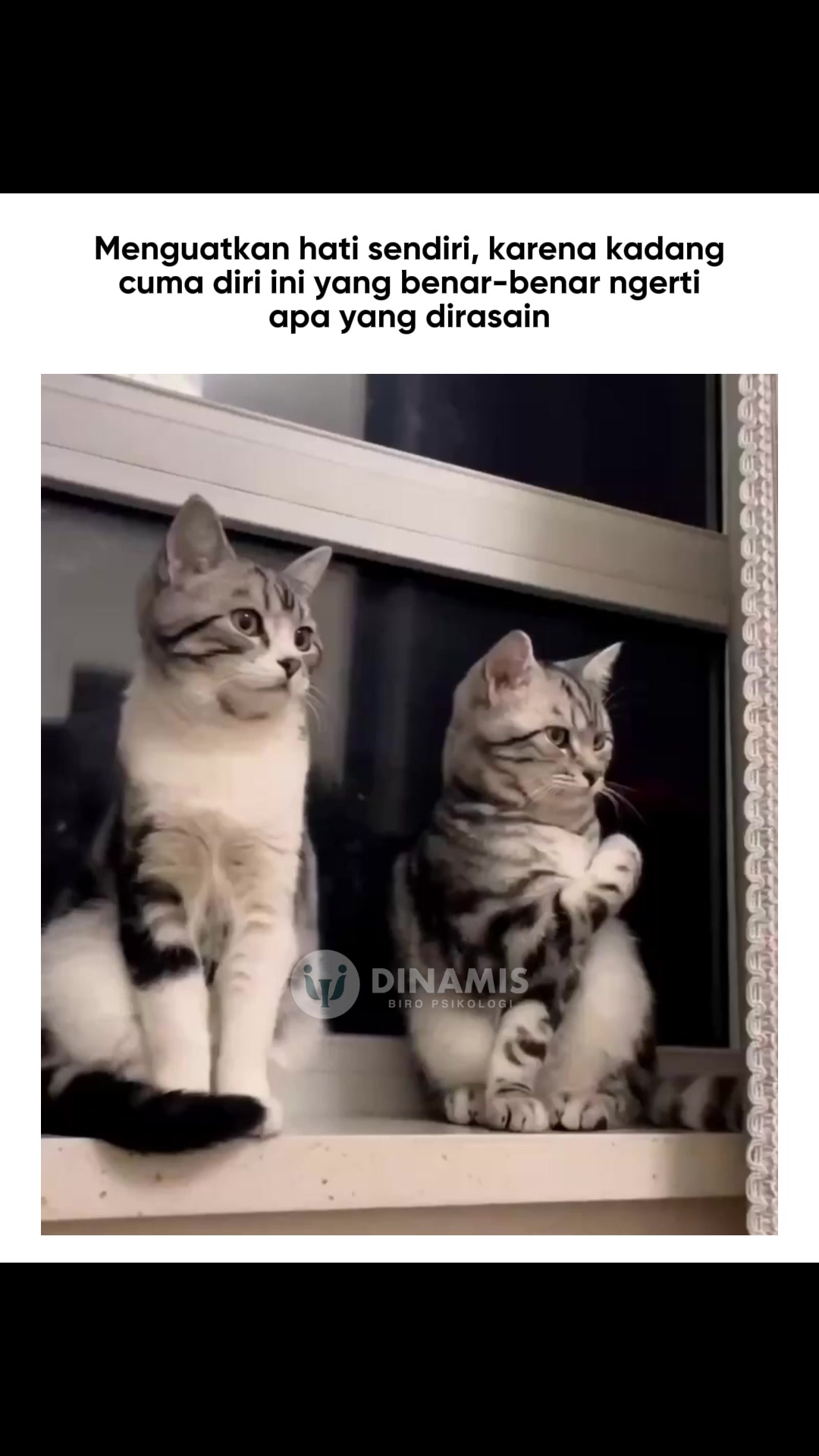 @dinamisbiropsikologi