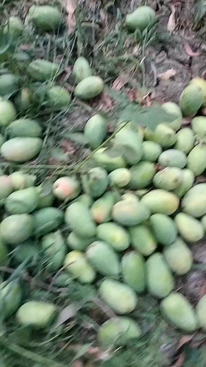 @احمد عمر