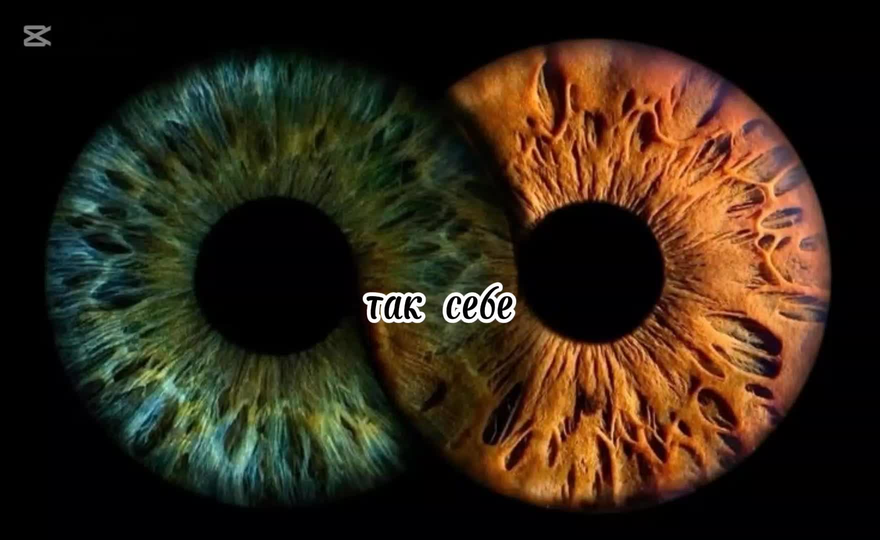 @𝐤𝐚𝐭𝐲𝐚𝐱𝐰𝐪_🐈⬛